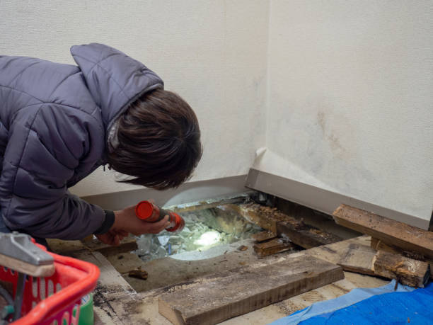 Best Mold Documentation for Insurance Claims  in Mount Hope, NJ