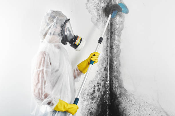 Best Residential Mold Inspection & Testing  in Mount Hope, NJ