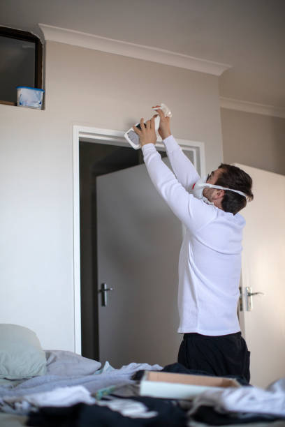 Best Attic Mold Removal  in Mount Hope, NJ