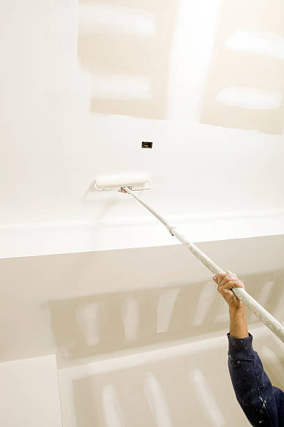 Best Black Mold Removal  in Mount Hope, NJ